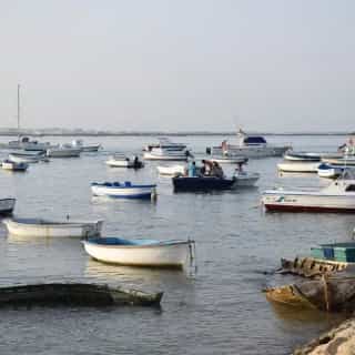 Más de 400 empresas en La Guía de Chiclana Más de 400 empresas en La Guía de Chiclana